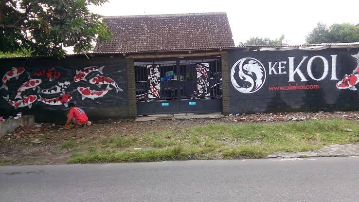 Salah satu sentra koi di kelurahan Tawangsari